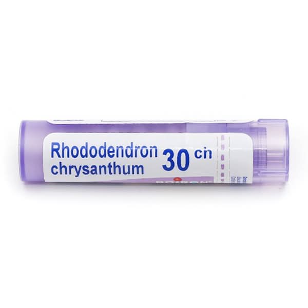 Boiron Rhododendron CHRYSANTHUM 30CH Granules