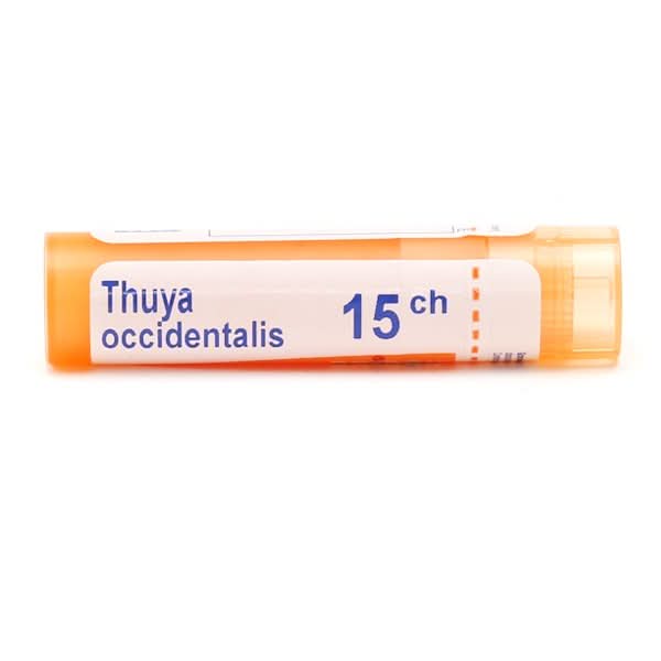 Thuya Occidentalis Granules Homeopathy Boiron