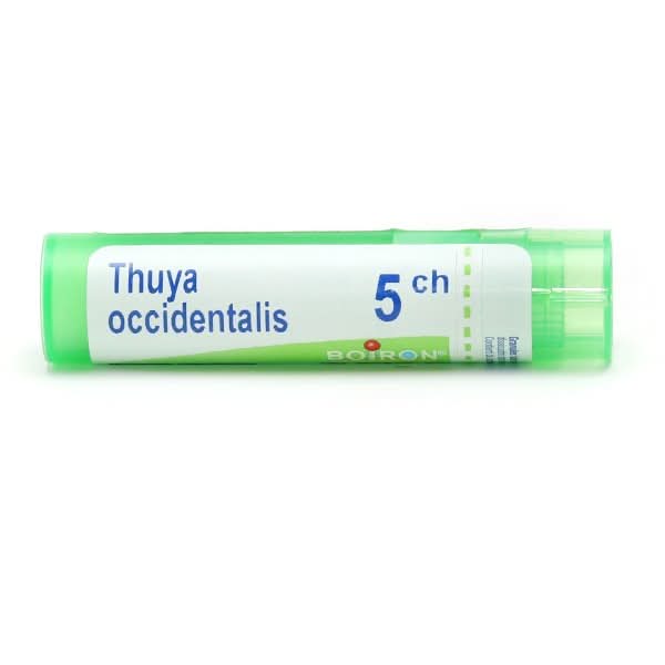 Thuya Occidentalis Granules Homeopathy Boiron