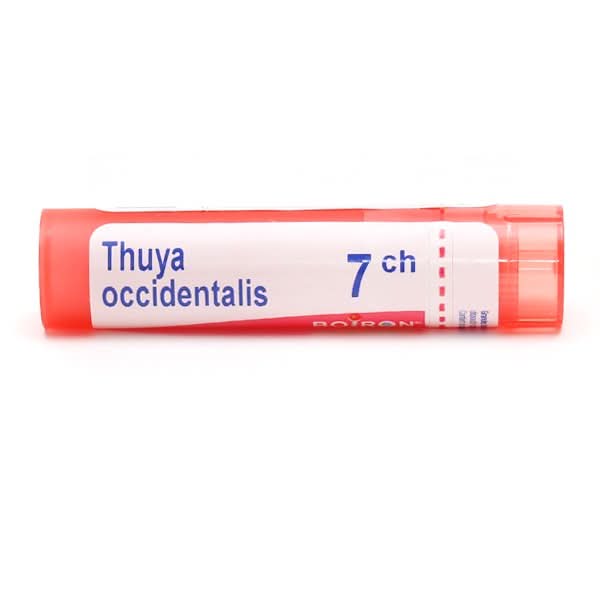 Thuya Occidentalis Granules Homeopathy Boiron