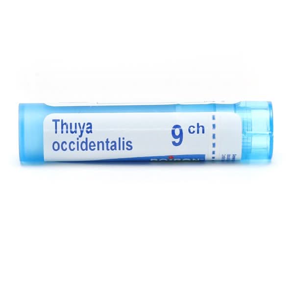 Thuya Occidentalis Granules Homeopathy Boiron