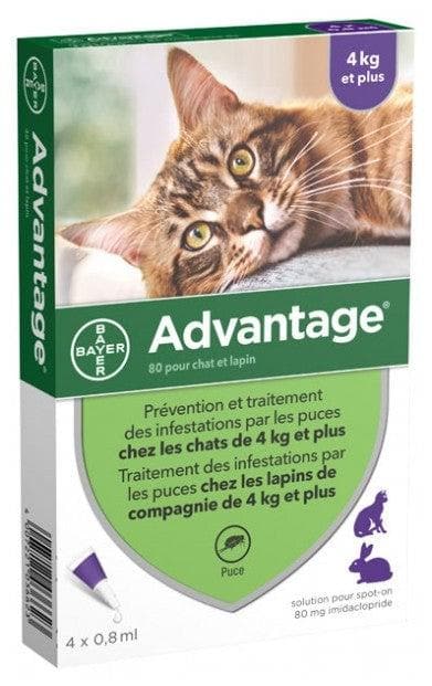 Advantage 80 Antifleas Solution for Cat and Rabbit of 4kg and More 4 Pipettes