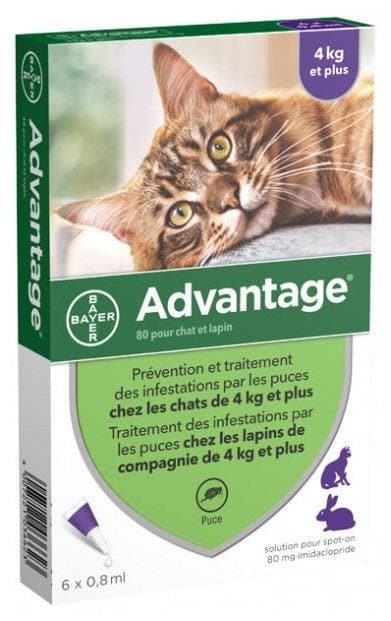 Advantage 80 Antifleas Solution for Cat and Rabbit of 4kg and More 6 Pipettes