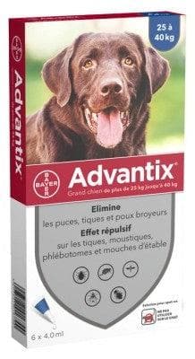 Advantix - Big Dogs 25 kg to 40kg 6 Pipettes