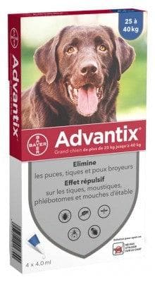 Advantix - Big Dogs 25 to 40 kg 4 Pipettes