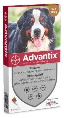 Advantix - Big Dogs 40 to 60 kg 4 Pipettes