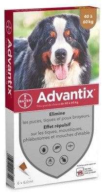 Advantix - Big Dogs 40 to 60 kg 6 Pipettes