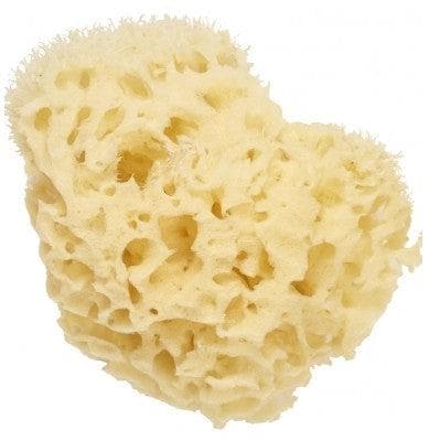 Cartel Paris - Natural Sea Sponge 11 cm