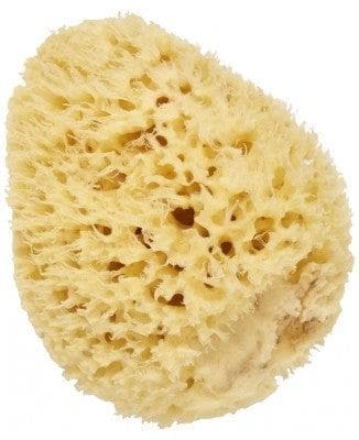 Cartel Paris - Natural Sea Sponge 14 cm