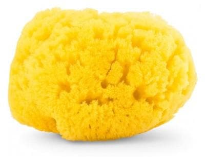 Chicco - Natural Sea Sponge Medium 0 Month and +