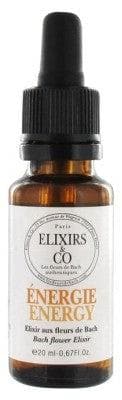 Elixirs & Co - Energy 20ml