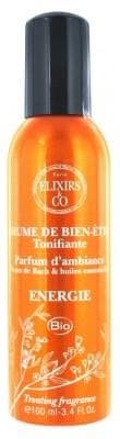 Elixirs & Co - Energy Well-Being Mist Invigorating 100ml