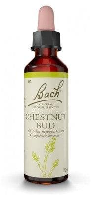 Fleurs de Bach Original - Chestnut Bud 20ml
