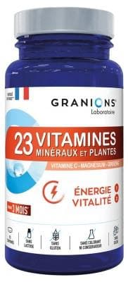 Granions - 23 Vitamins Minerals and Plants 90 Tablets