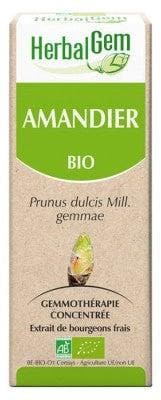HerbalGem - Organic Almond 30ml