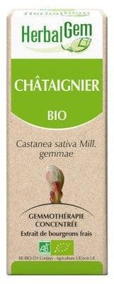 HerbalGem - Organic Chestnut 30ml