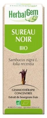 HerbalGem - Organic Elderberry 30ml