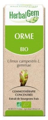 HerbalGem - Organic Elm 30ml