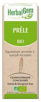 HerbalGem - Organic Horsetail 30ml
