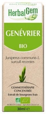 HerbalGem - Organic Juniper 30ml