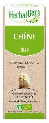 HerbalGem - Organic Oak 30ml