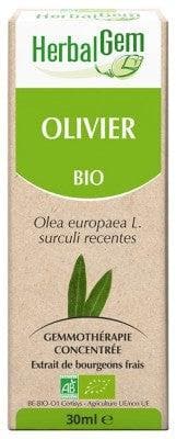HerbalGem - Organic Olive Tree 30ml