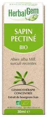 HerbalGem - Organic Pectin Fir 30ml