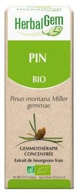 HerbalGem - Organic Pine 30ml