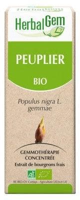HerbalGem - Organic Poplar 30ml