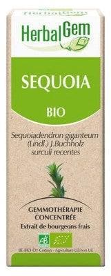 HerbalGem - Organic Redwood 30ml