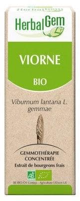 HerbalGem - Organic Viburnum 30ml