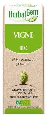 HerbalGem - Organic Vine 30ml