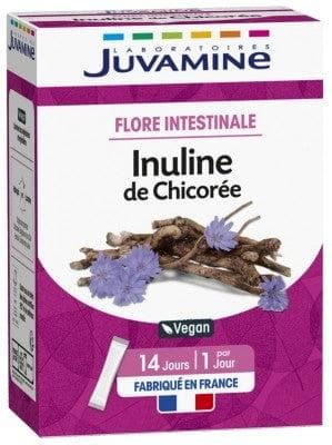 Juvamine - Intestinal Flora Chicory Inulin 14 Sticks