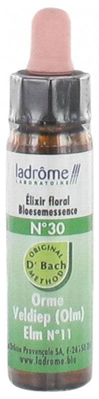 Ladrôme Flower of Bach Floral Elixir N°30: Elm Organic 10ml