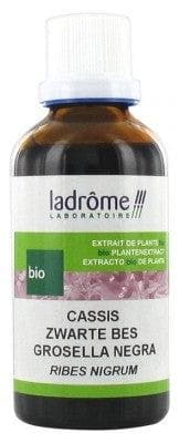 Ladrôme - Organic Fresh Plant Extract Blackcurrant 50ml