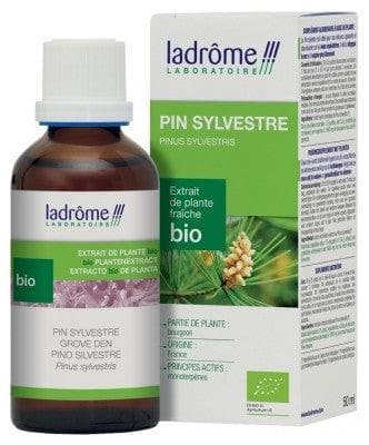 Ladrôme - Organic Fresh Plant Extract Scots Pine 50ml