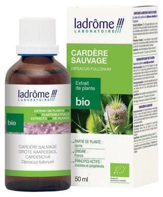 Ladrôme - Organic Plant Extract Wild Teasel 50ml