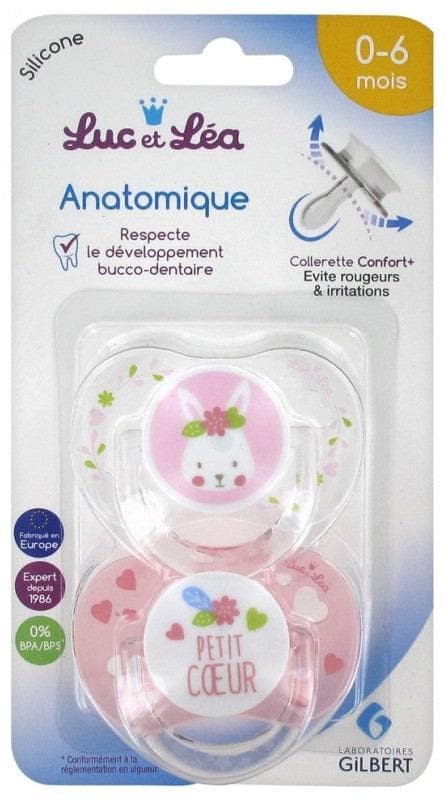 Luc et Léa 2 Soothers With Ring Anatomic Silicone 0-6 Months Model: Rabbit + Heart