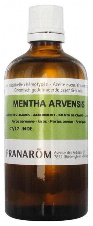 Pranarôm Essential Oil Field Mint (Mentha arvensis) 100 ml