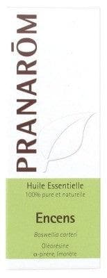 Pranarôm - Essential Oil Incense (Boswellia carteri) 5 ml