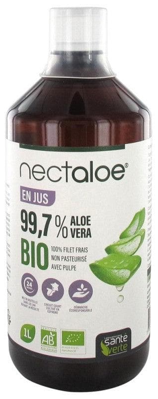 afrikanische aloe vera Aloe Vera South Africa  i-go-eco