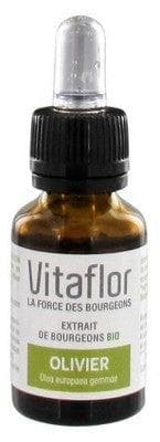 Vitaflor - Organic Buds Extract Olive 15ml