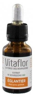 Vitaflor - Organic Buds Extract Rosehip 15ml
