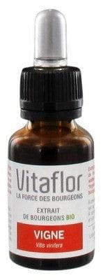 Vitaflor - Organic Buds Extract Vine 15ml